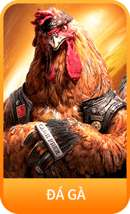 Đá Gà i9bet
